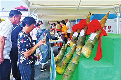 迈向绿美未 迈向绿美未